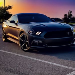 Meet your Posher, Kade